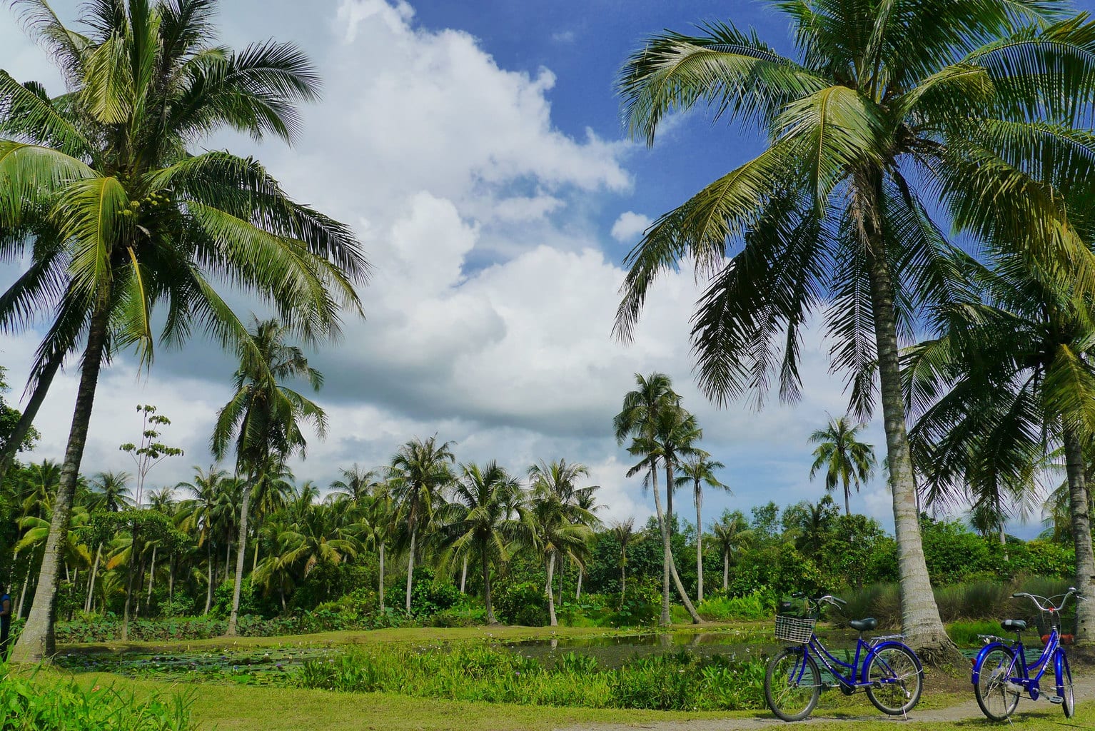 Getting around by bike on Pulau Ubin