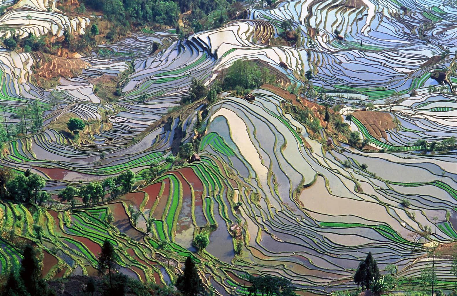"Honghe Hani Rice Terraces, Jialiang Gao, www.peace-on-earth.org GFDL/CC-by-sa-2.5"