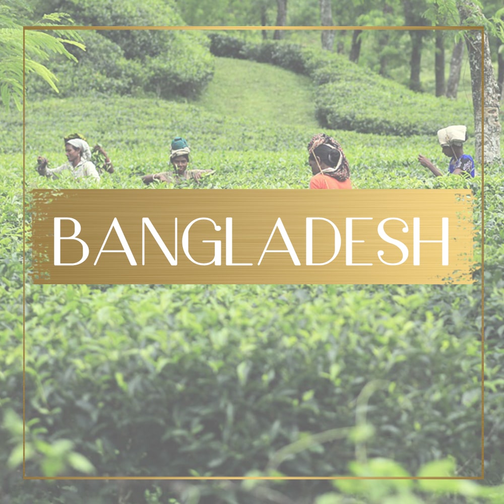 Destination Bangladesh feature