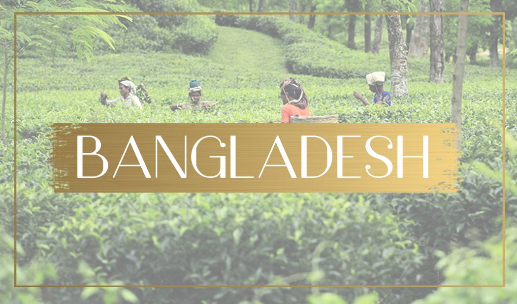 Destination Bangladesh feature