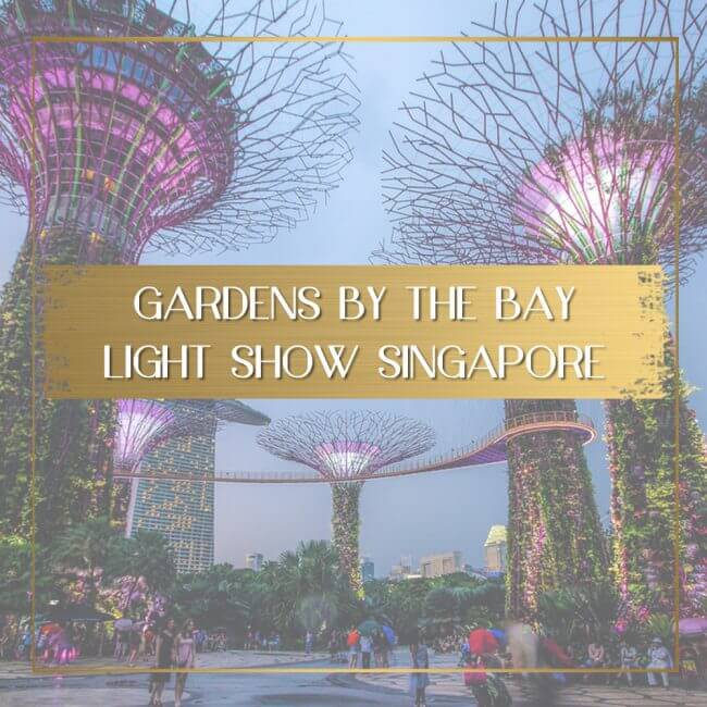 Gardens by the Bay Light Show Feature