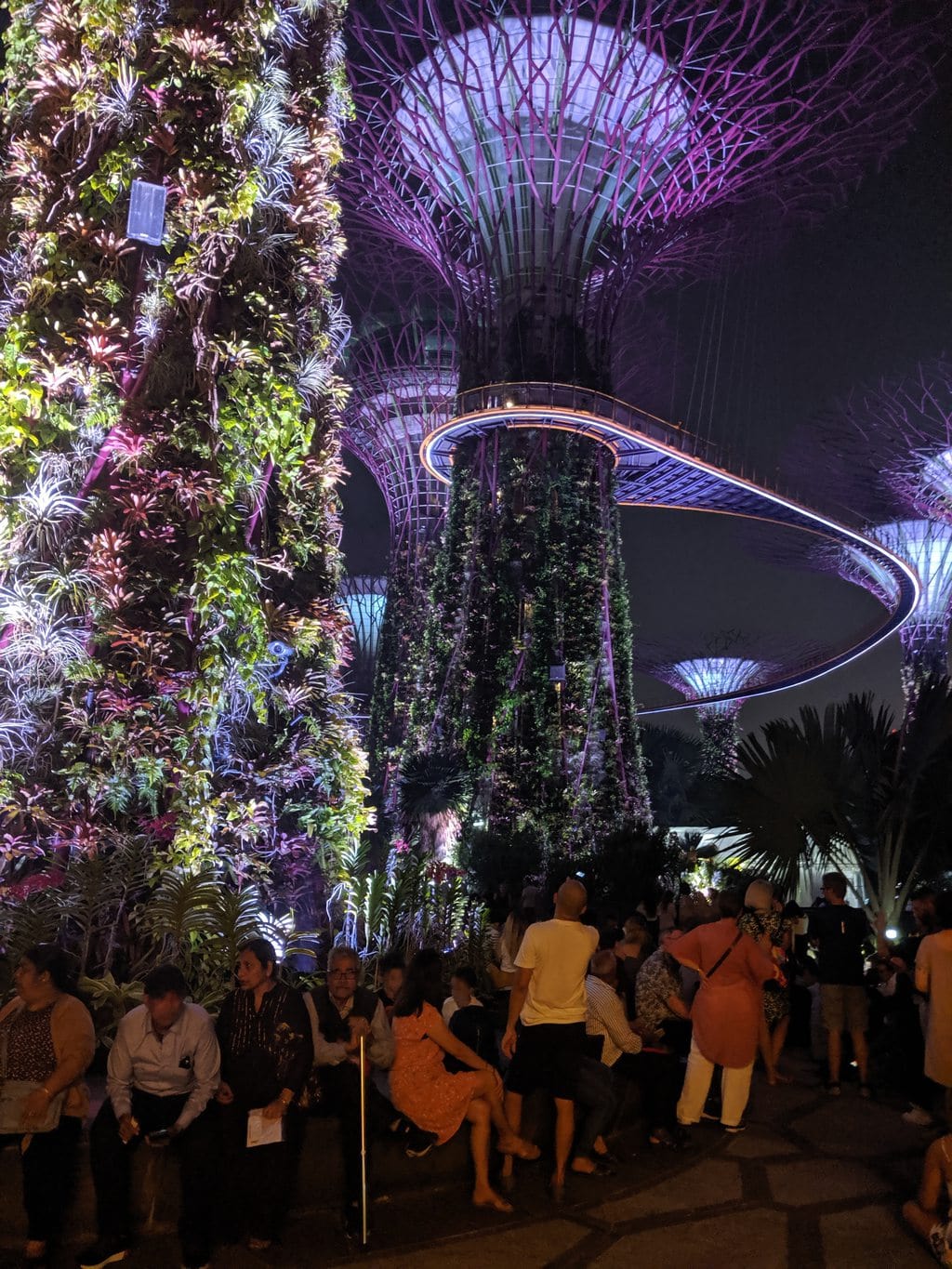 Garden By The Bay Light Show