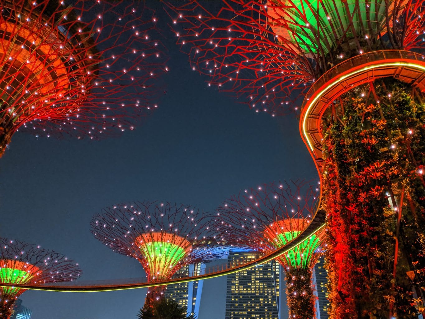 Supertree grove Gardens by the Bay Light Show