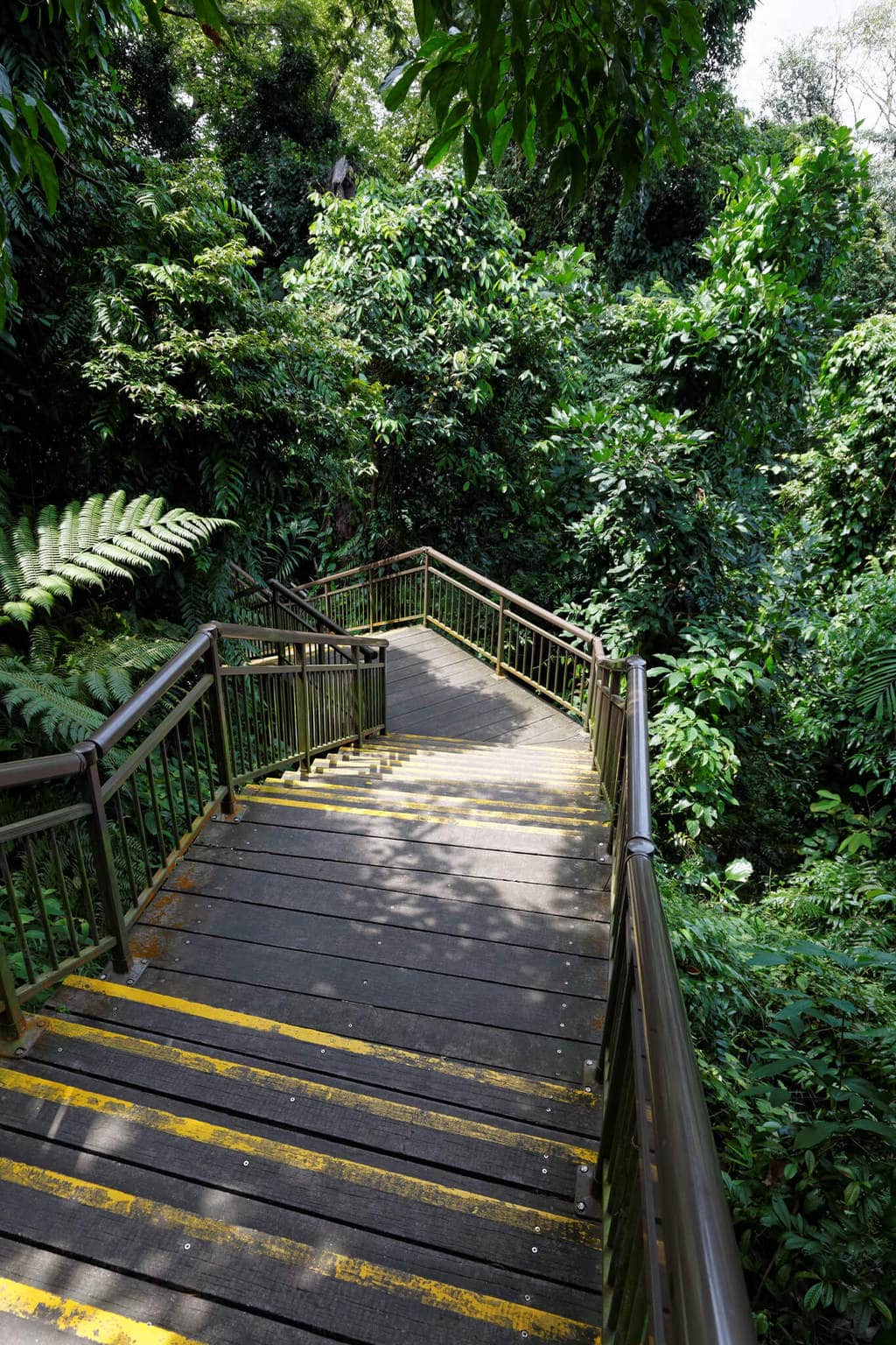 Marang Trail steps