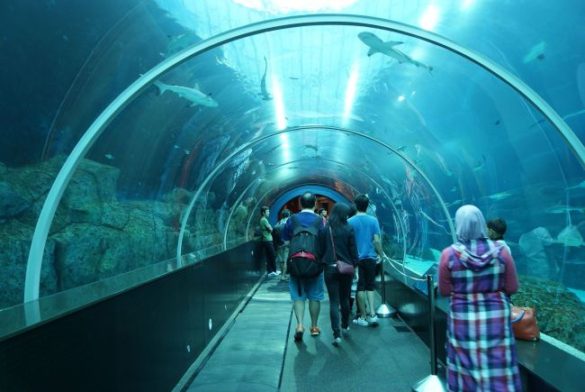 Guide to Singapore Sentosa Island: Attractions things to do and where ...