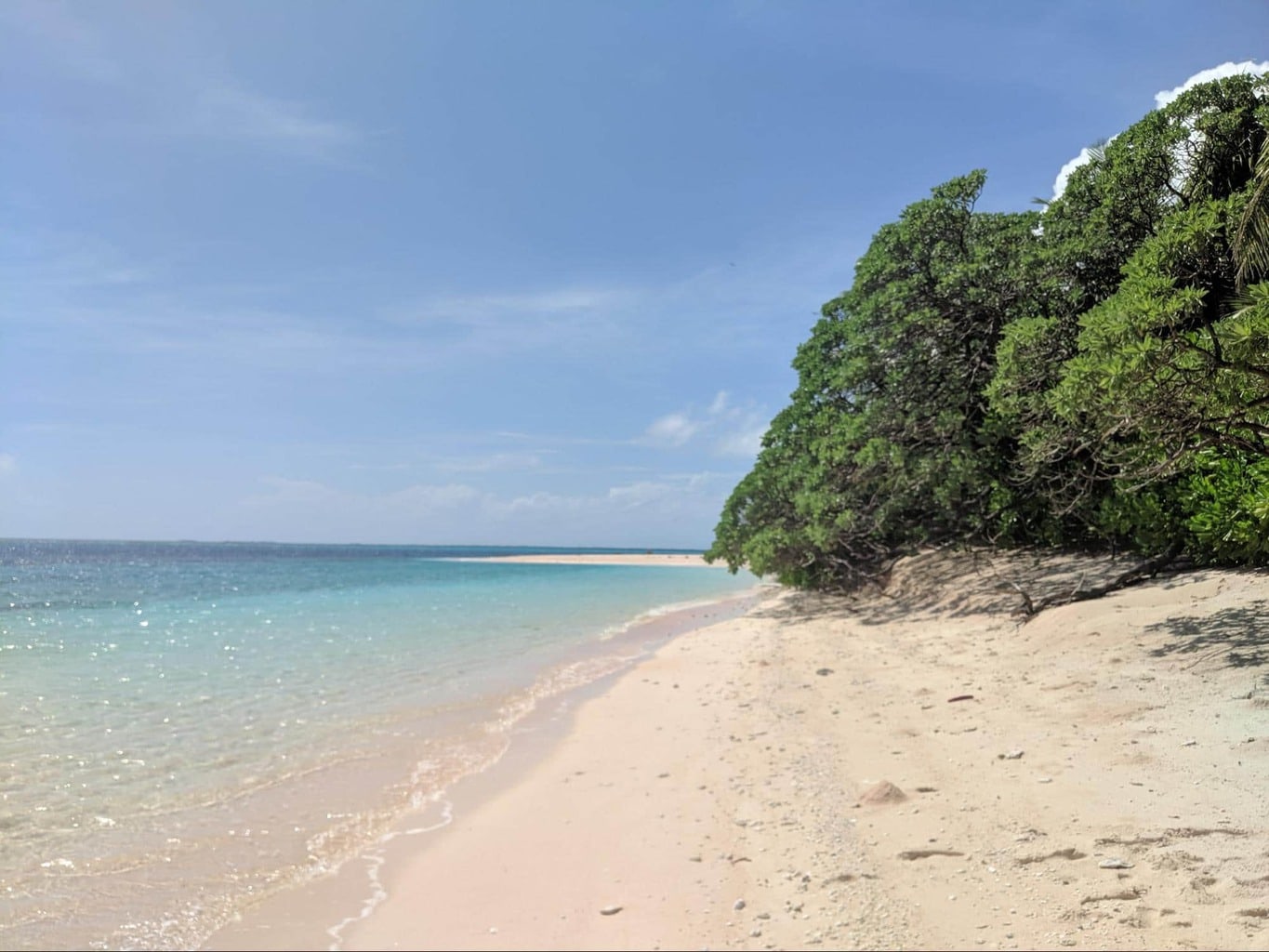 Beaches in the Funafuti Conservation Area