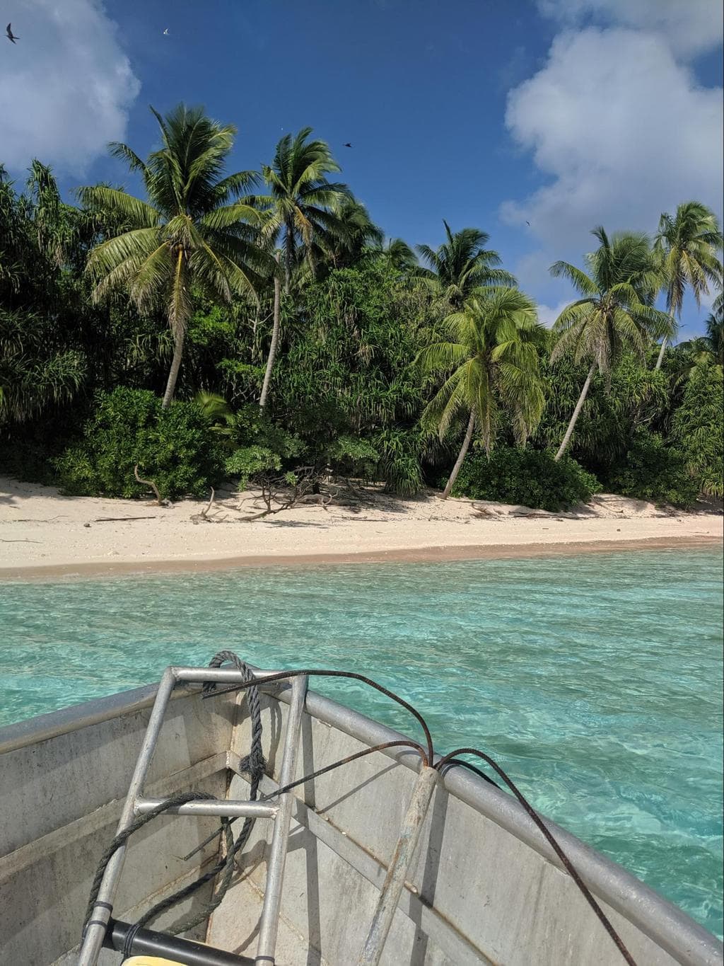 Funafuti Conservation Area from above