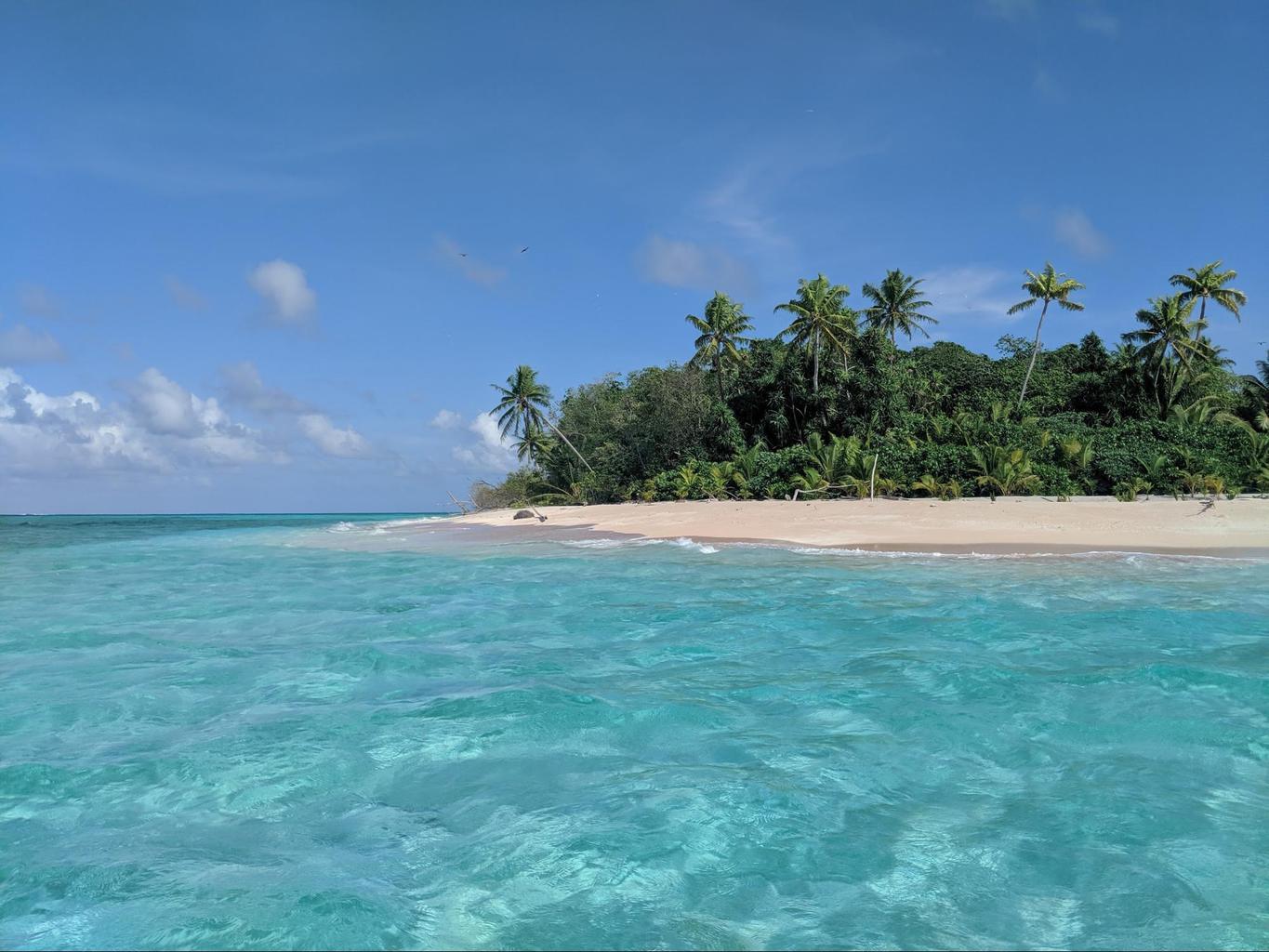 Funafuti Conservation Area from the sea