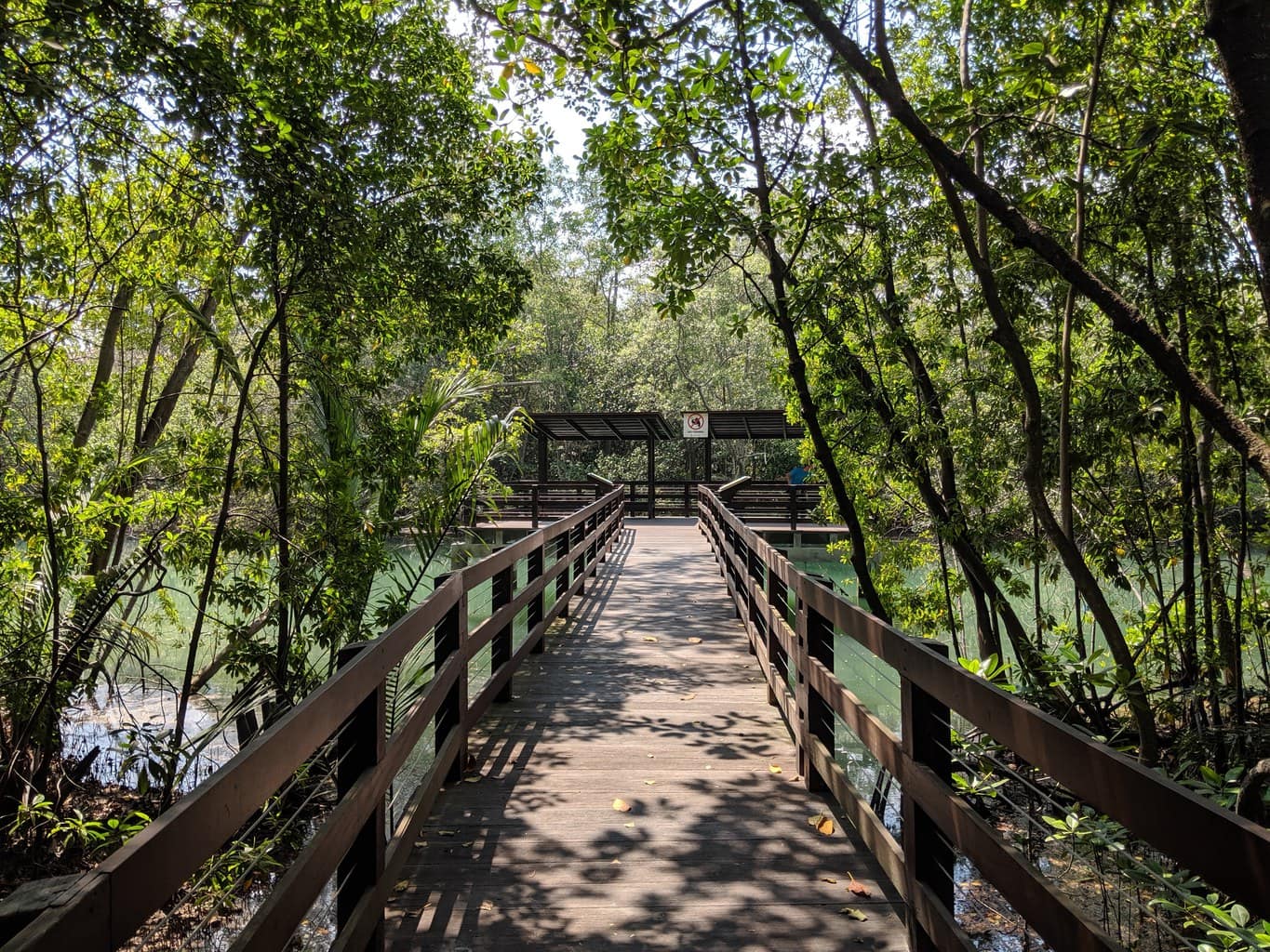 Pasir Ris Mangrove Park