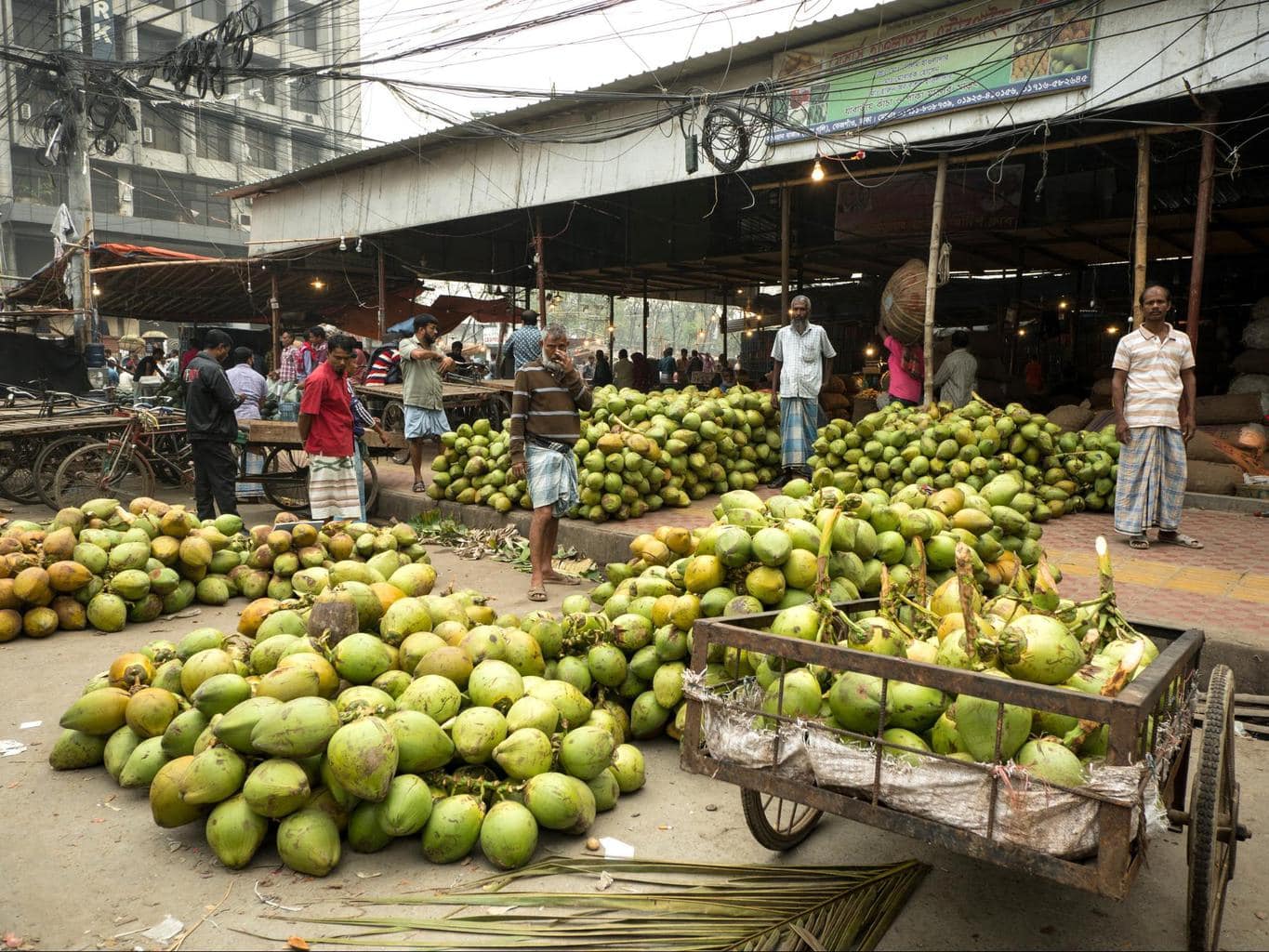 Karwan Bazaar 01