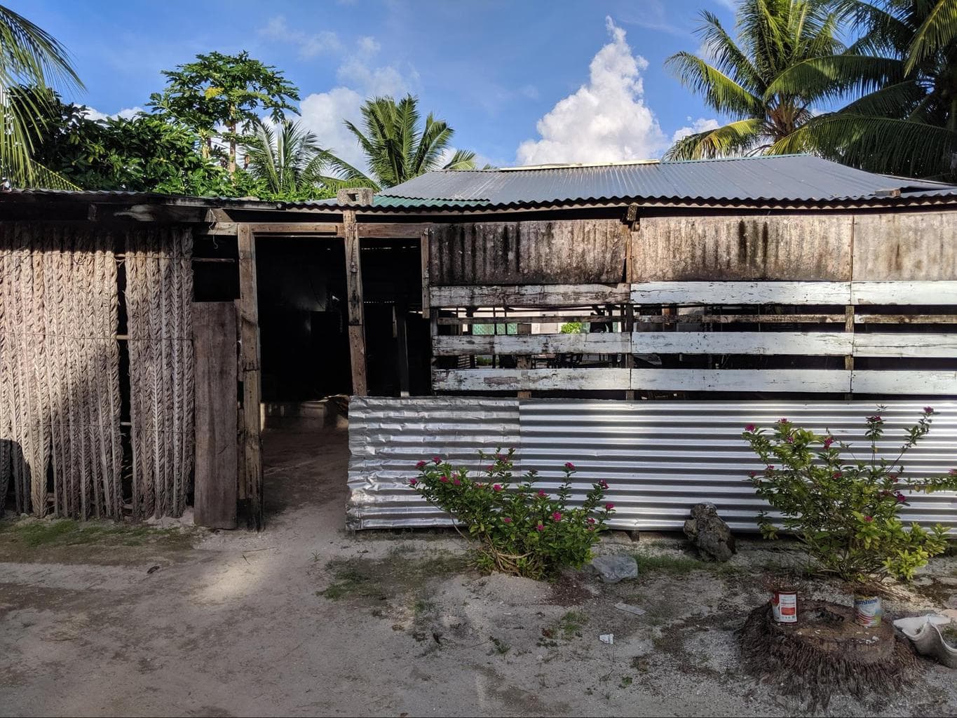 Kava bar in Kiribati