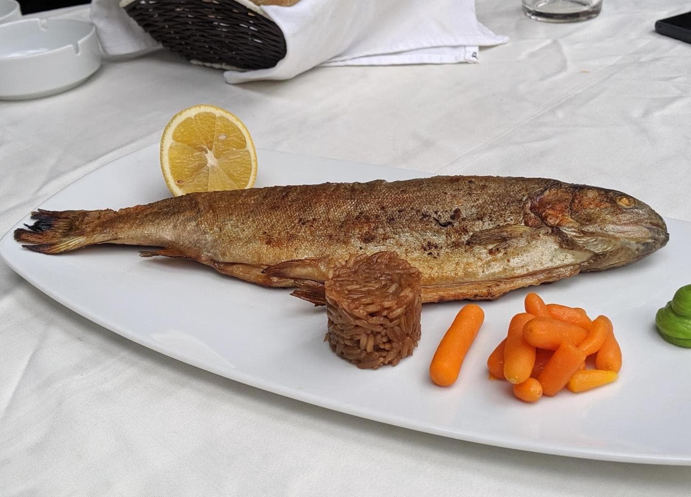 Ohrid trout