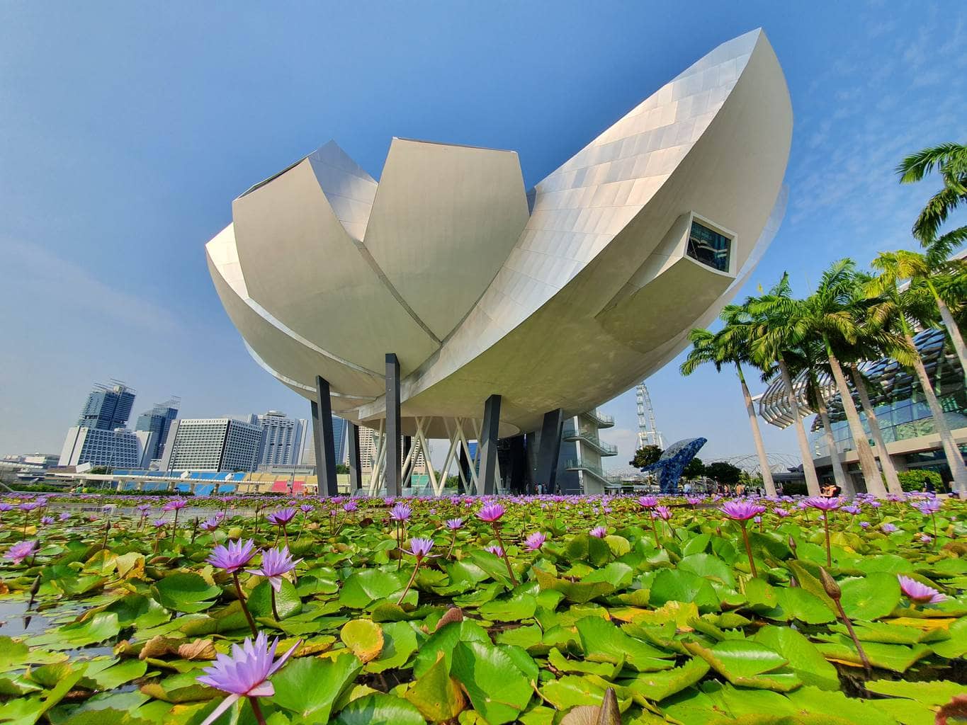 exciting places to visit in singapore