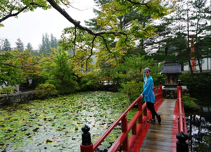 Beautifully green Japan