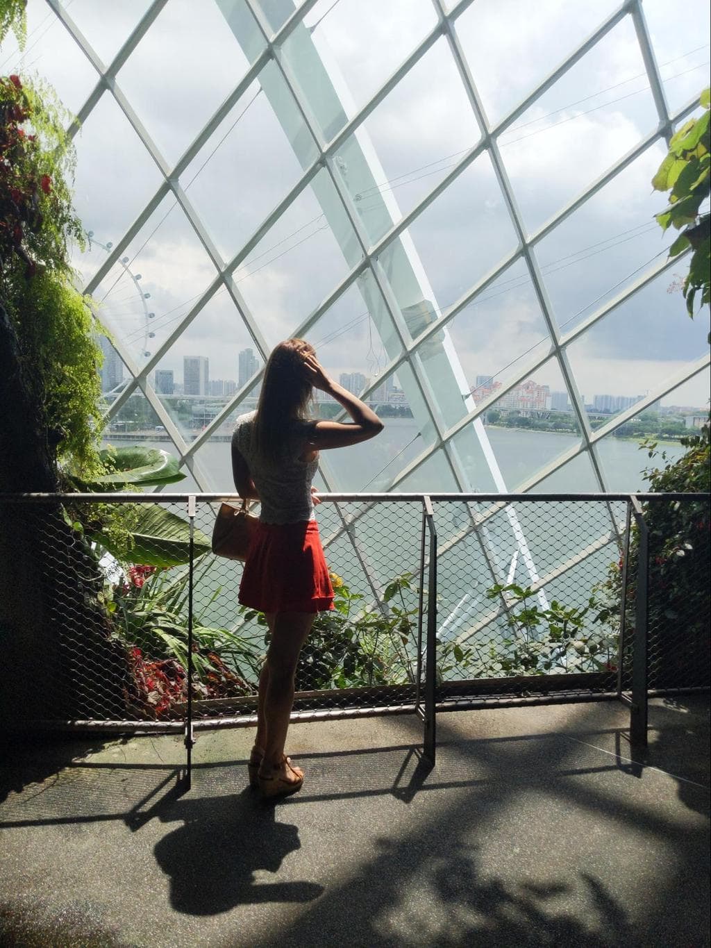 Cloud Forest mountain from behind the waterfall