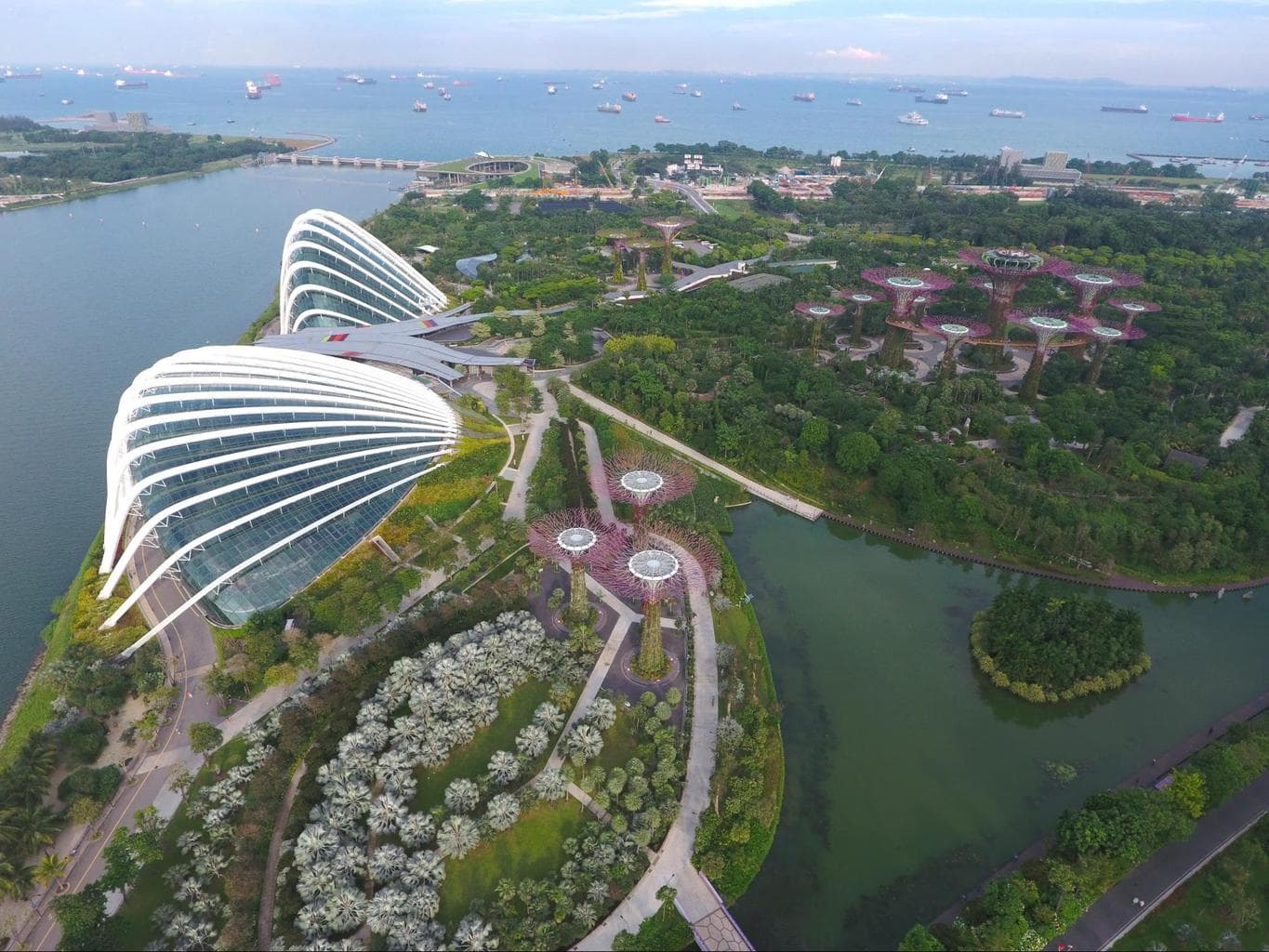 Drone shot of the Conservatories at Gardens by the Bay