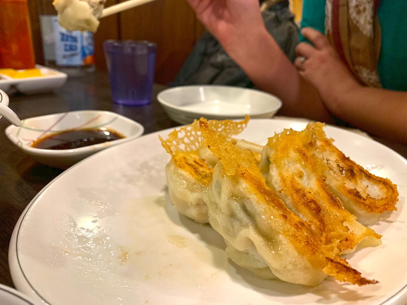 Famed Jonny Dumpling - half grilled half fried