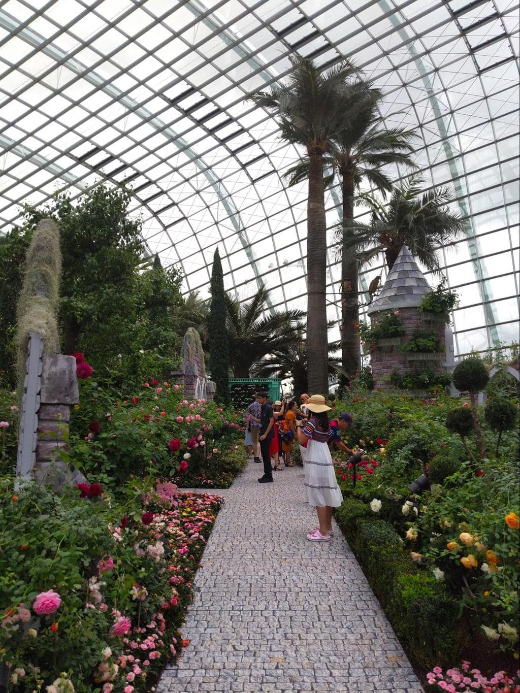 Flower Dome rose exhibition continued