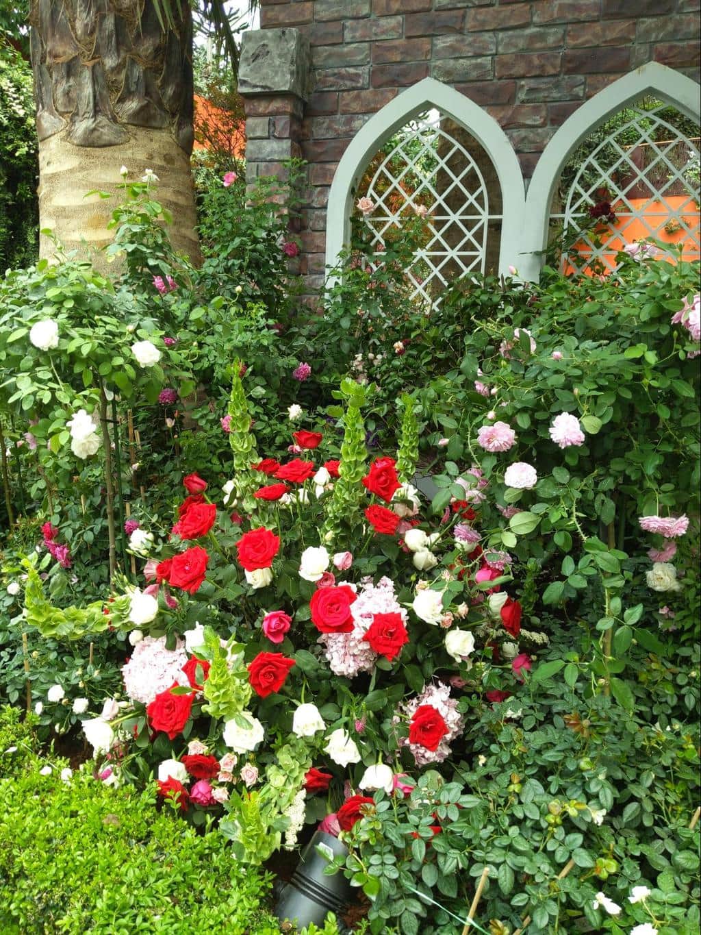 Flower Dome rose exhibition