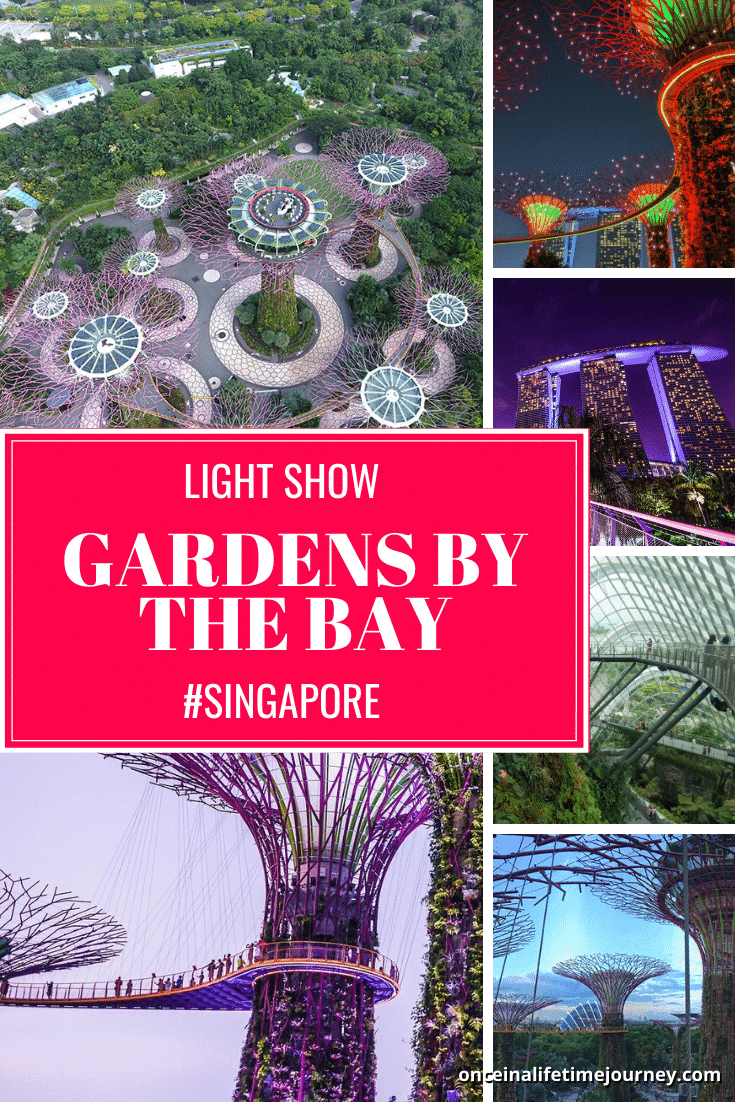 Gardens by the Bay Light Show Pin 02