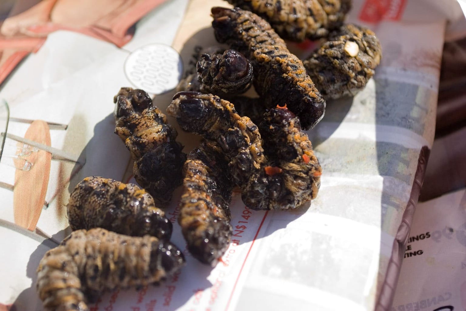 Mopane Worms (caterpillars) cooked with chilis
