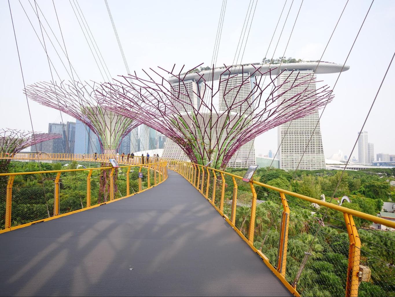 OCBC Skywalk continued