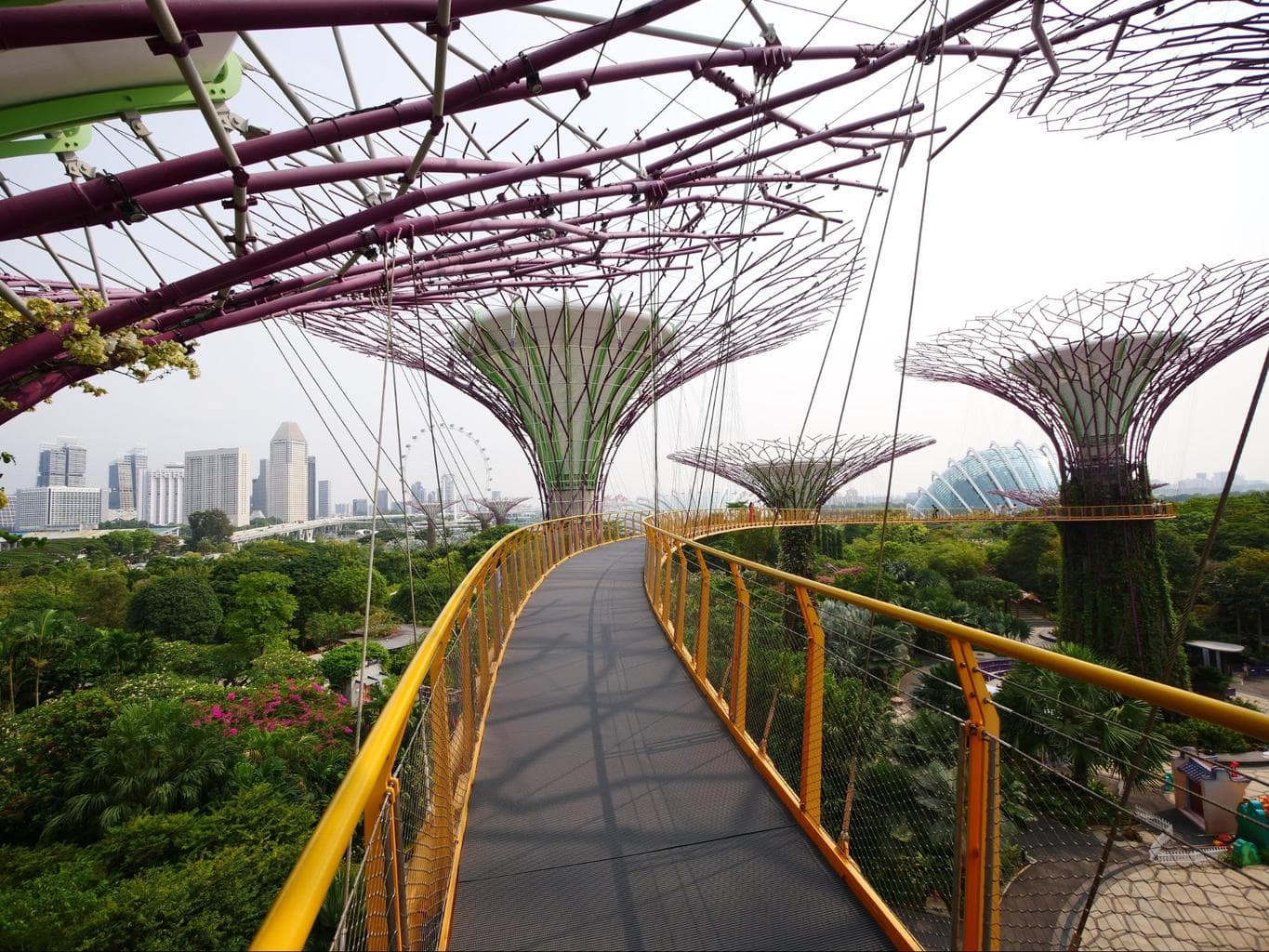 OCBC Skywalk views continued