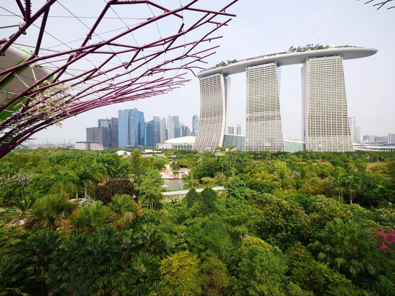 OCBC Skywalk views