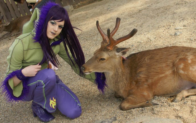 One of the ubiquitous deer in Nara