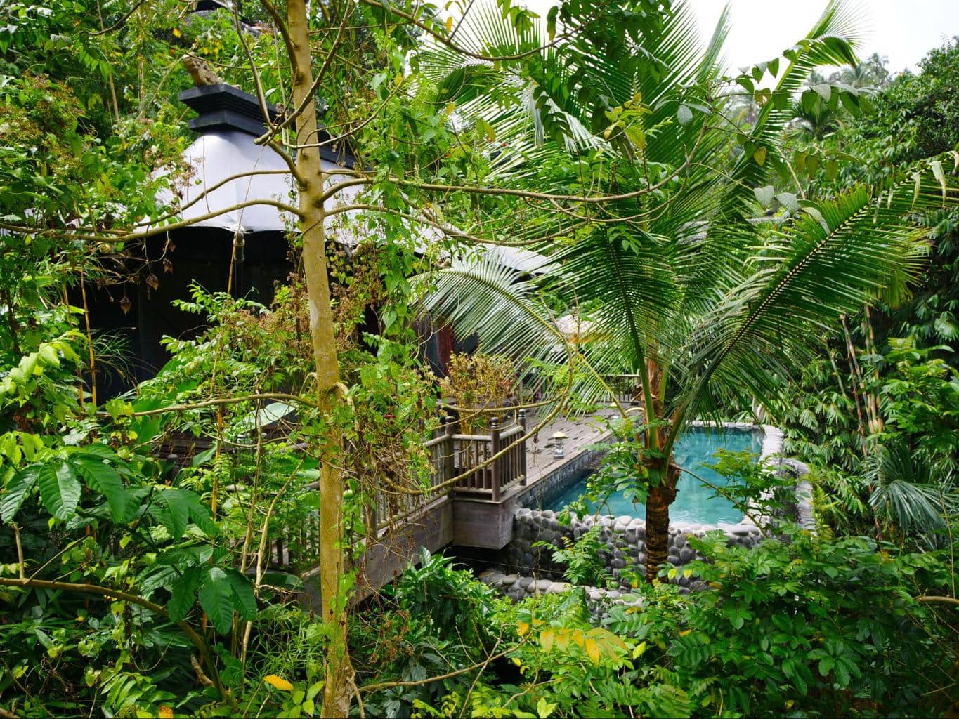 Pools at two of the Capella Ubud tents from a distance