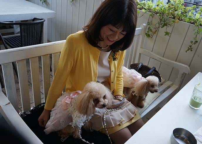 The cutest animals at Tokyo’s pet cafes 02