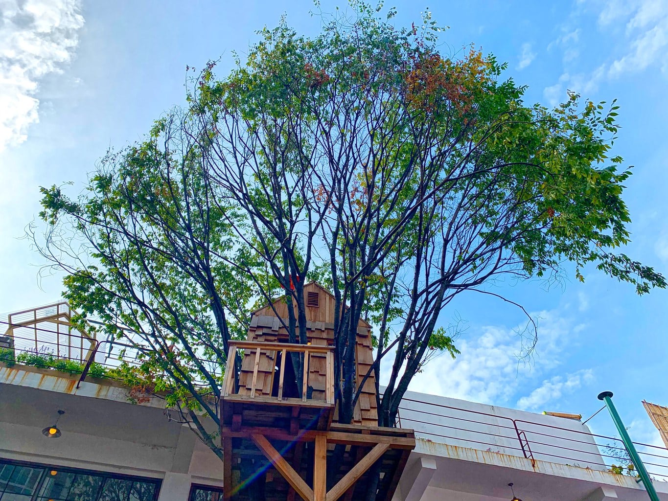 Treehouse at Grandpa Factory