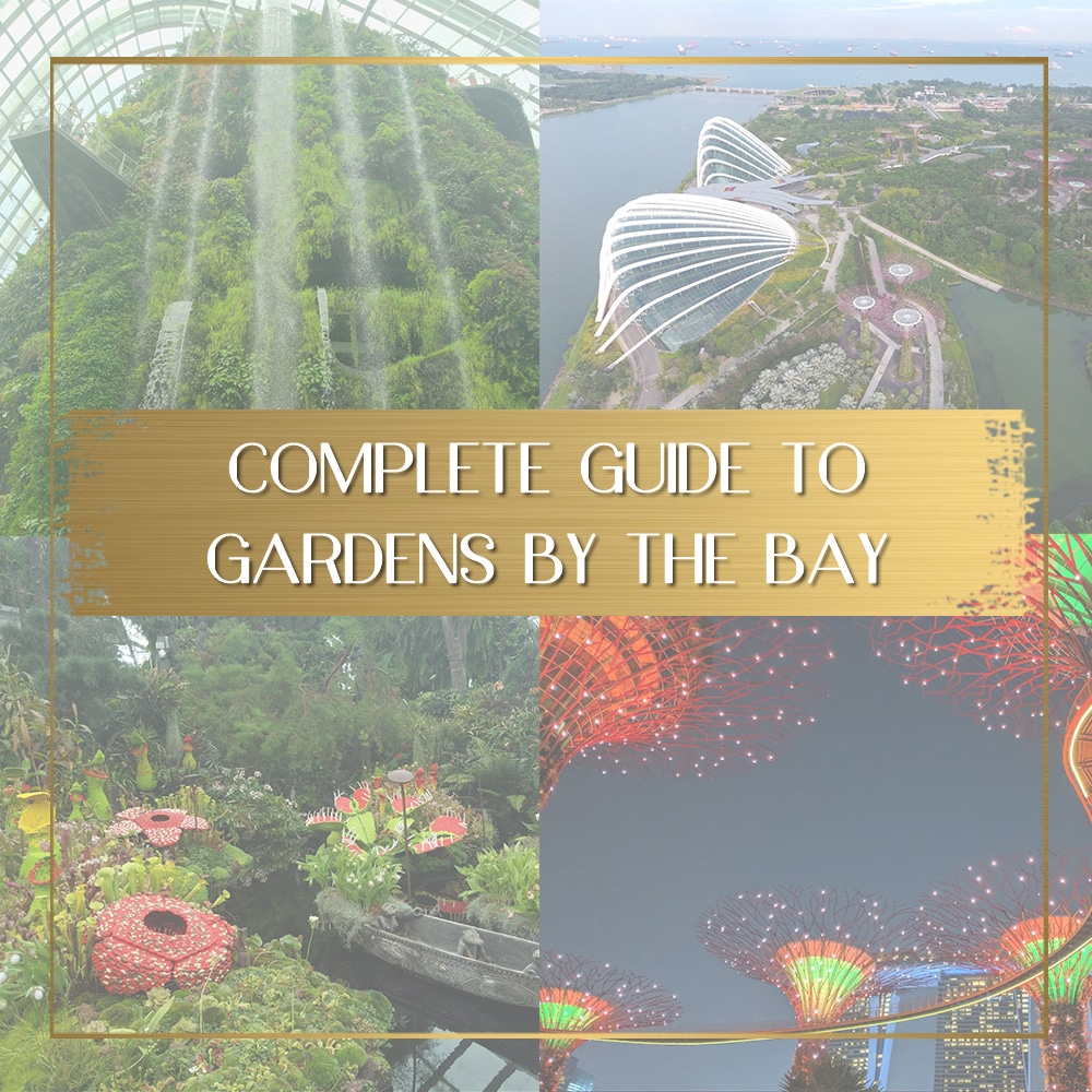 Visit Gardens by the Bay feature