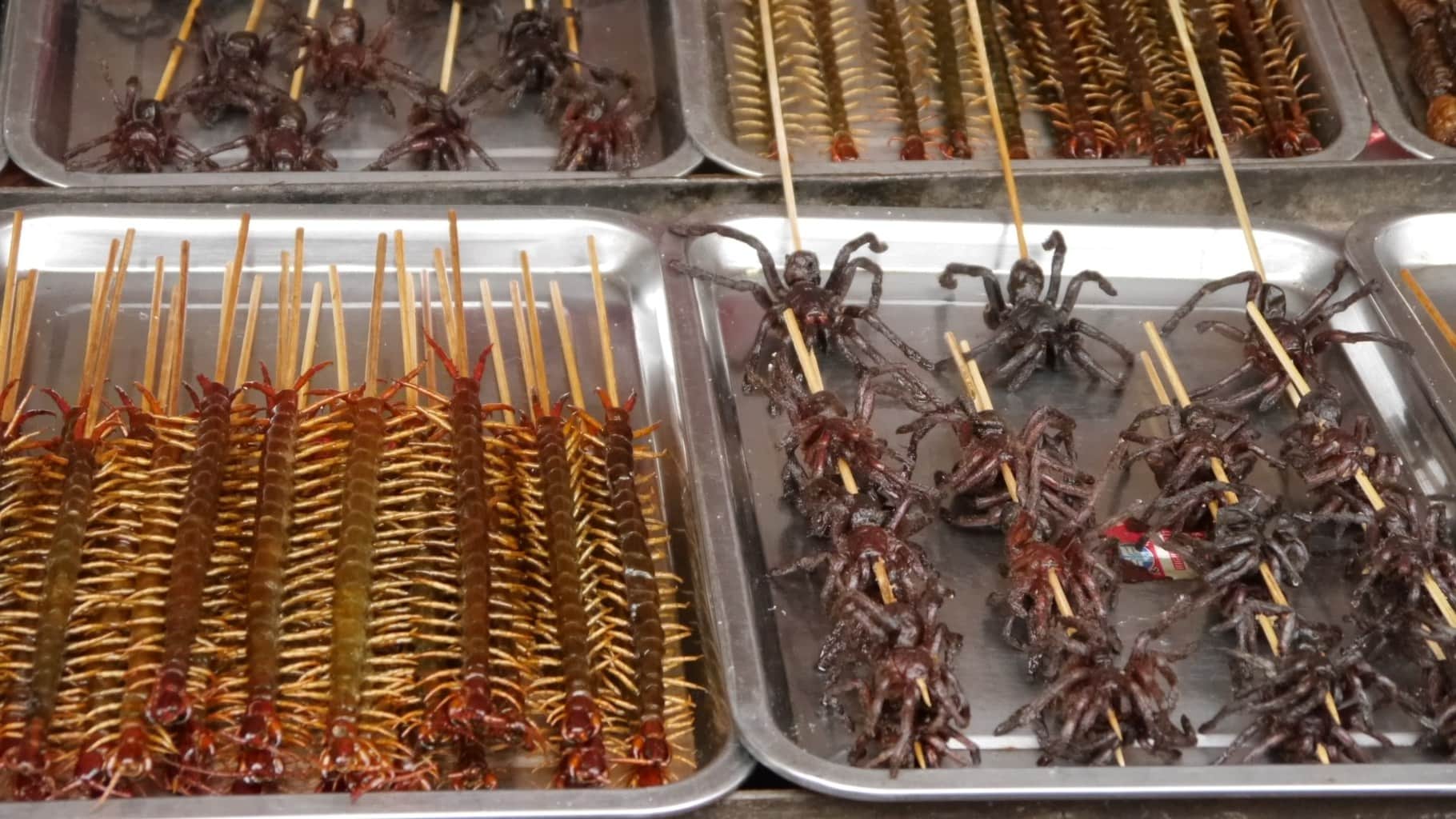 Bugs for sale at Beijing Night Market
