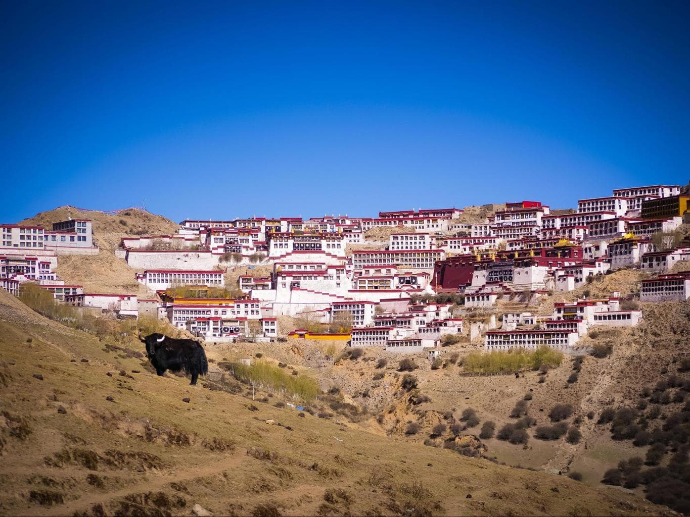 Ganden Monastery