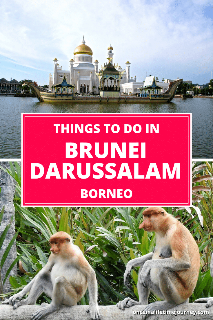 Things to do in Brunei Pin 01