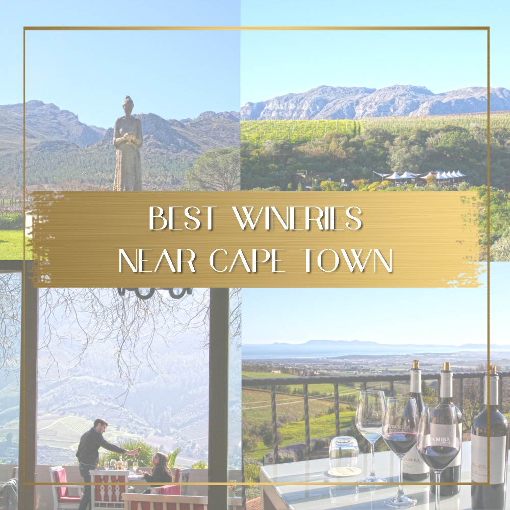 Best Wineries near Cape Town feature