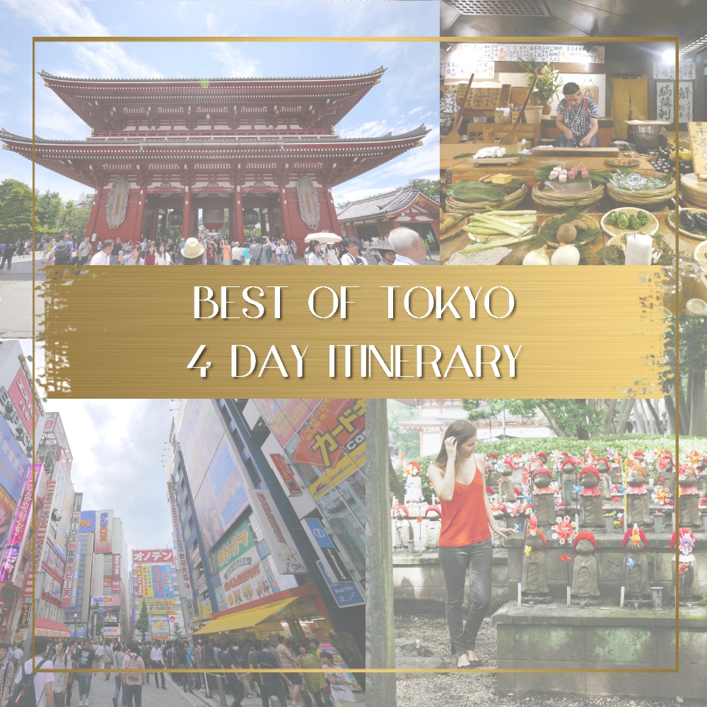 Best of Tokyo feature