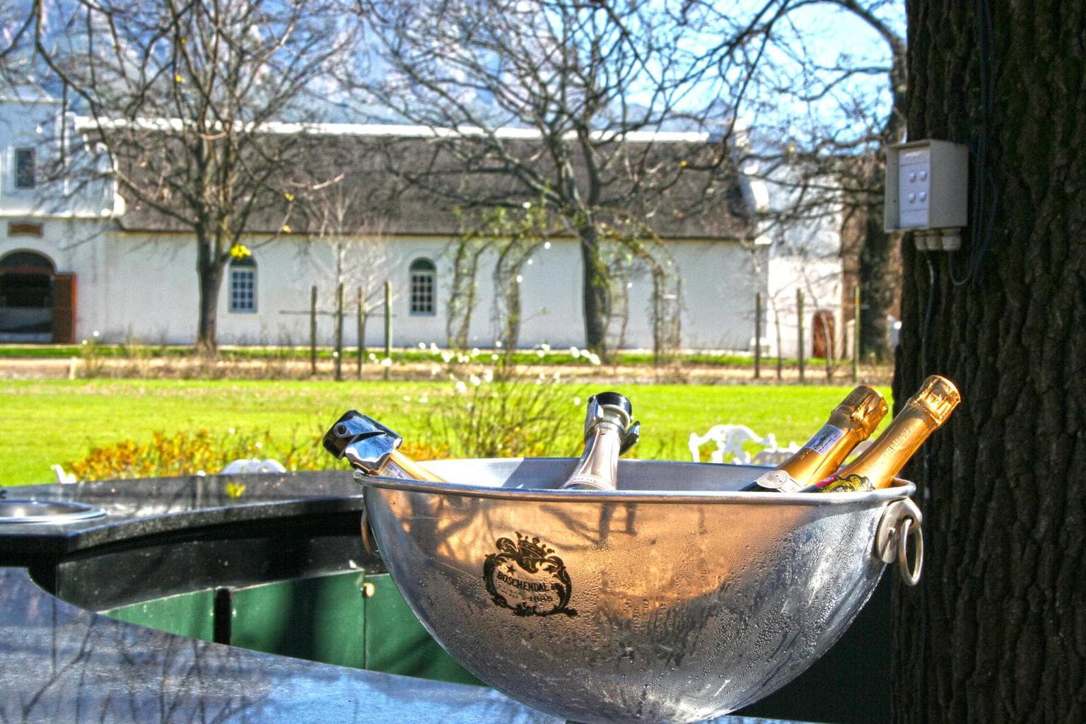 Bubbly at Boschendal