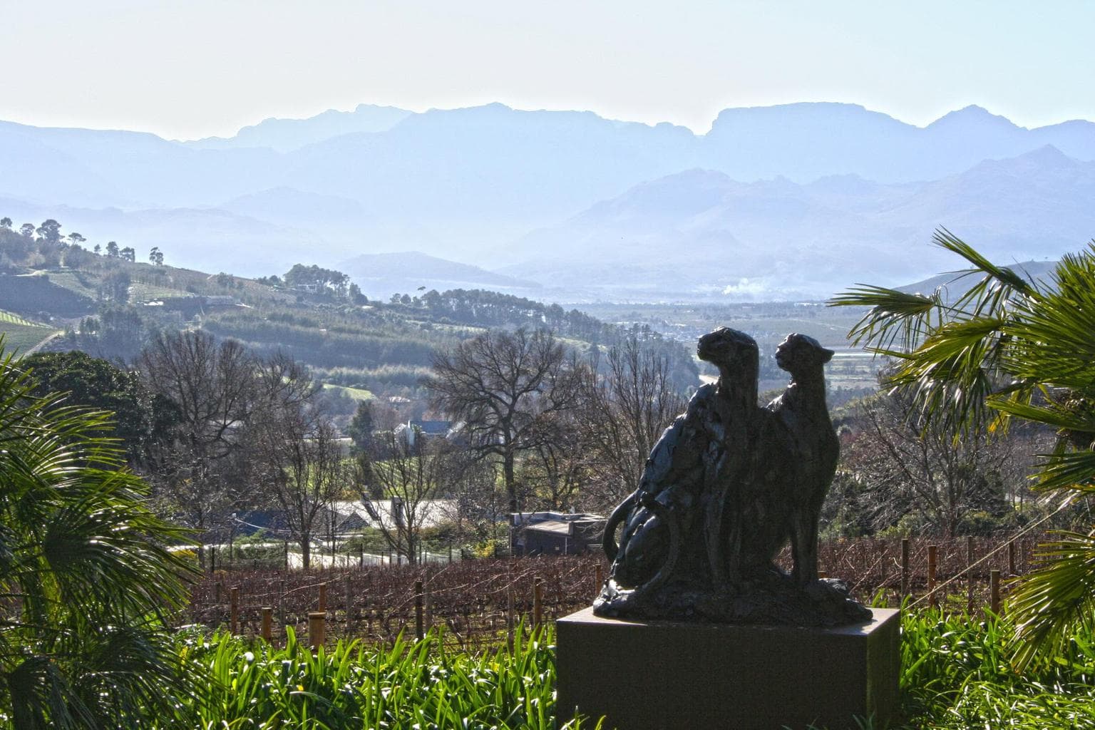 Delaire Graff’s tasting room view