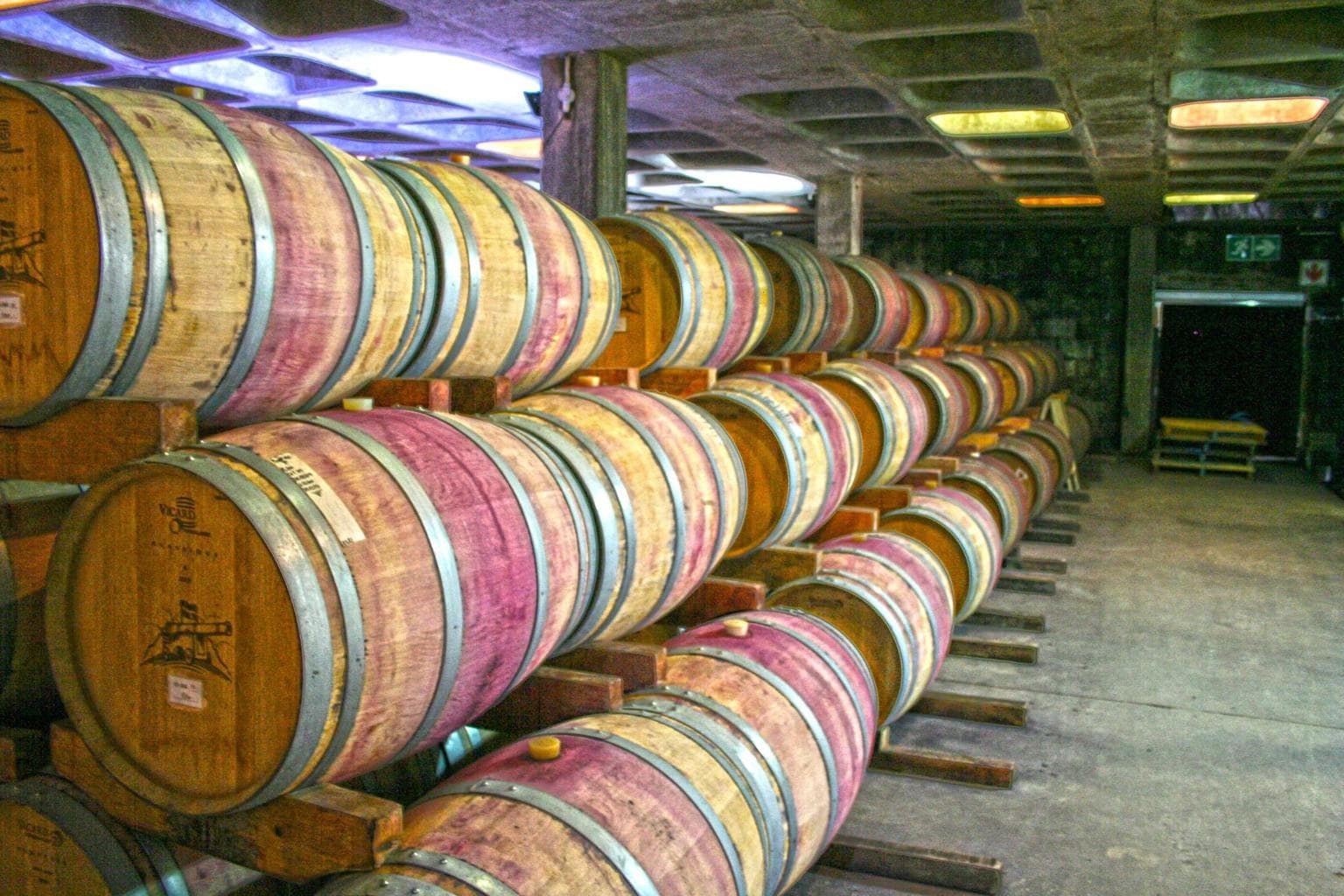 Kanonkop cellar