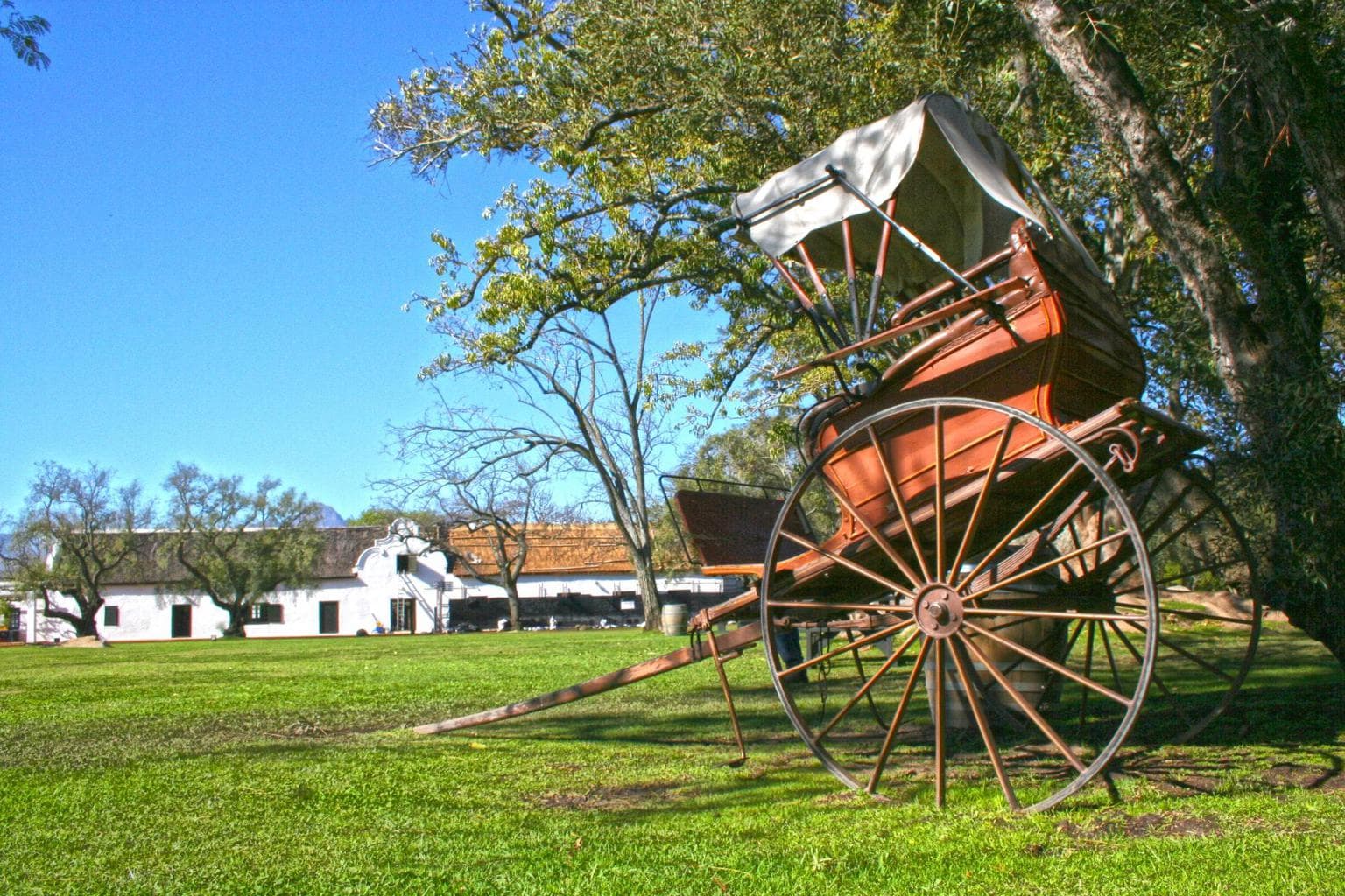 Old cart at the Spier grounds