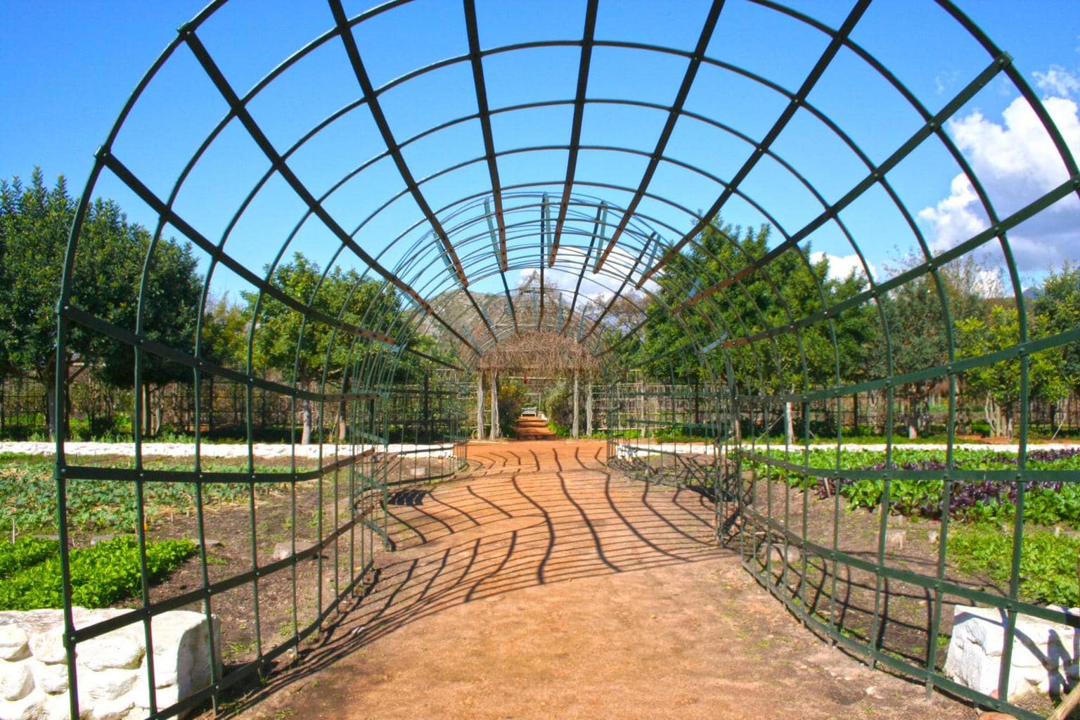 Paths at Babylonstoren