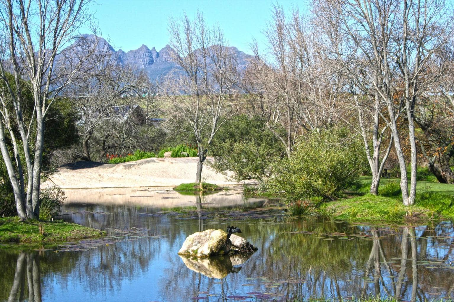 Pond on the Spier grounds