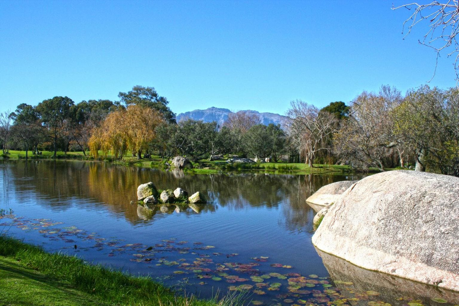 Pond views and sculptures at Spier