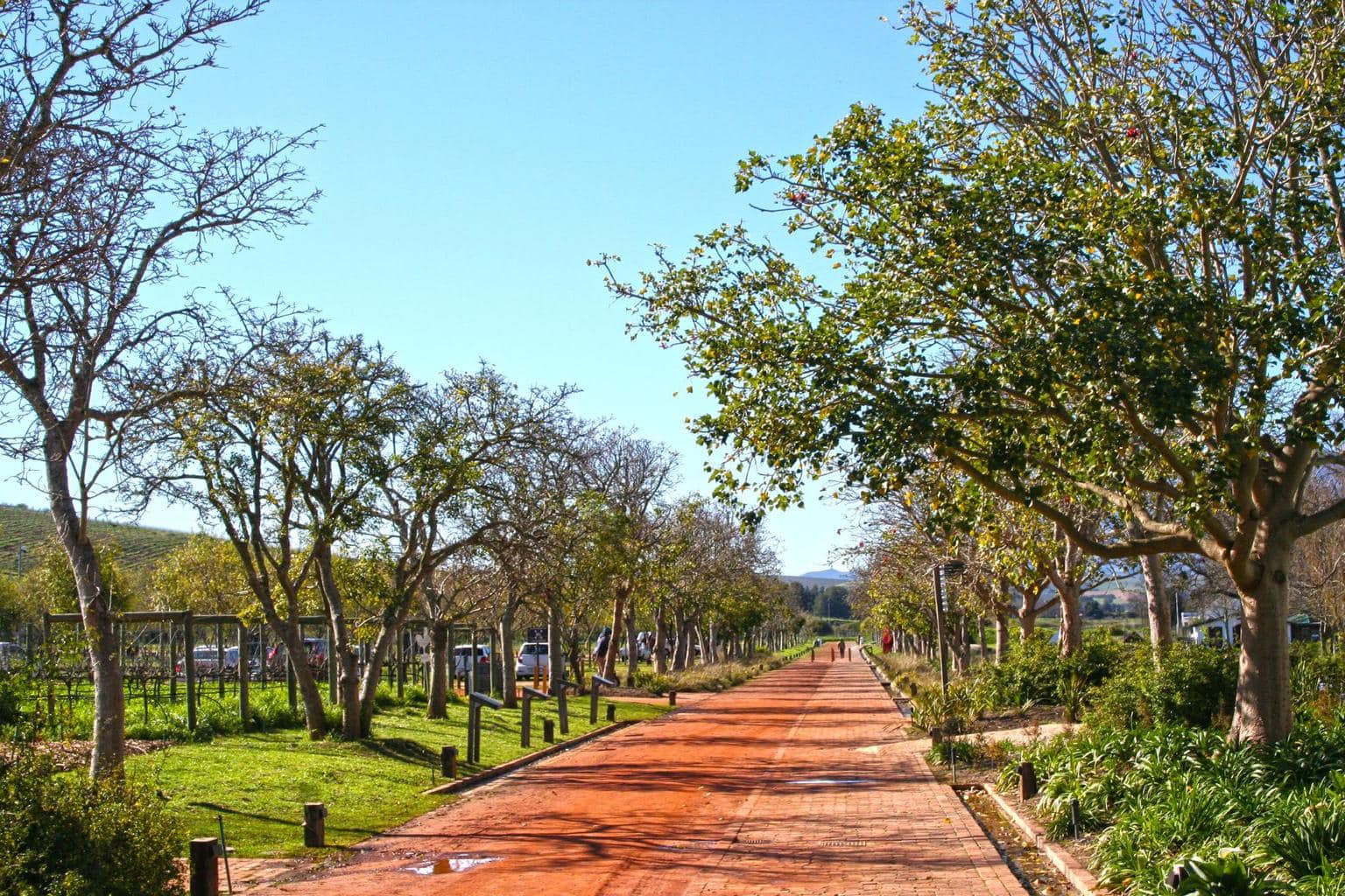 Spier path grounds