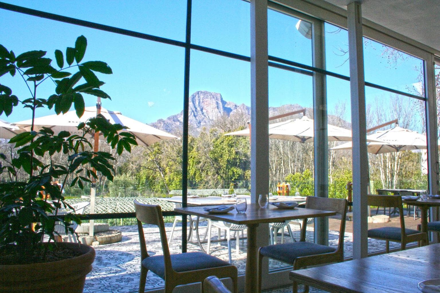 The Werf views at Boschendal