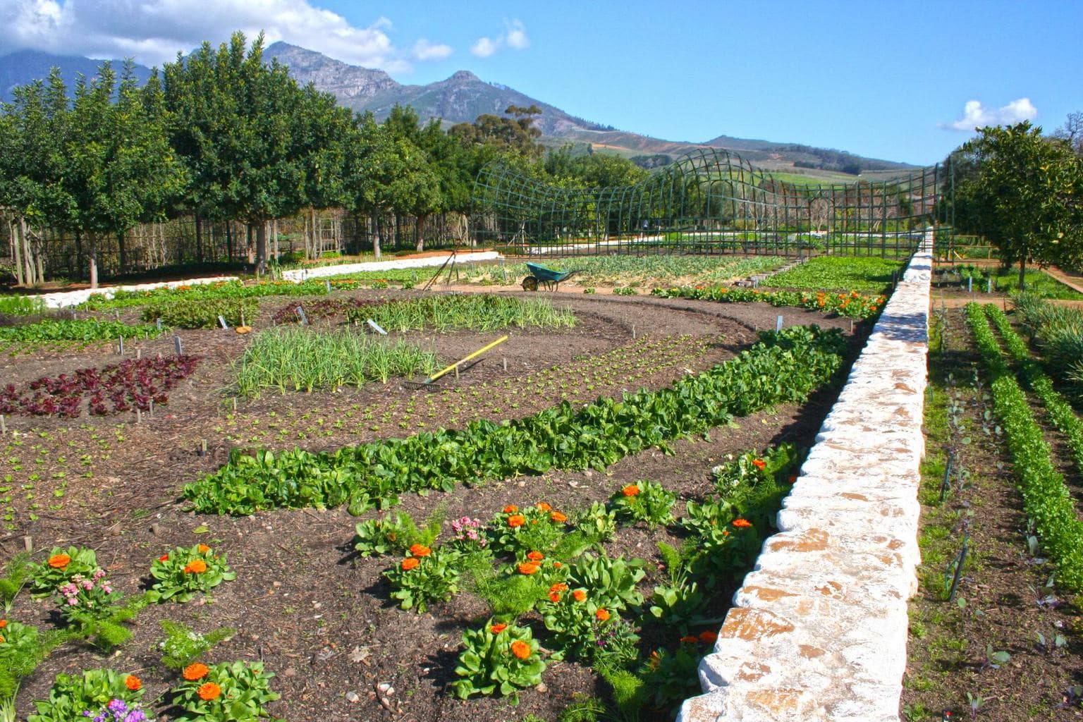 The gardens at Babylonstoren