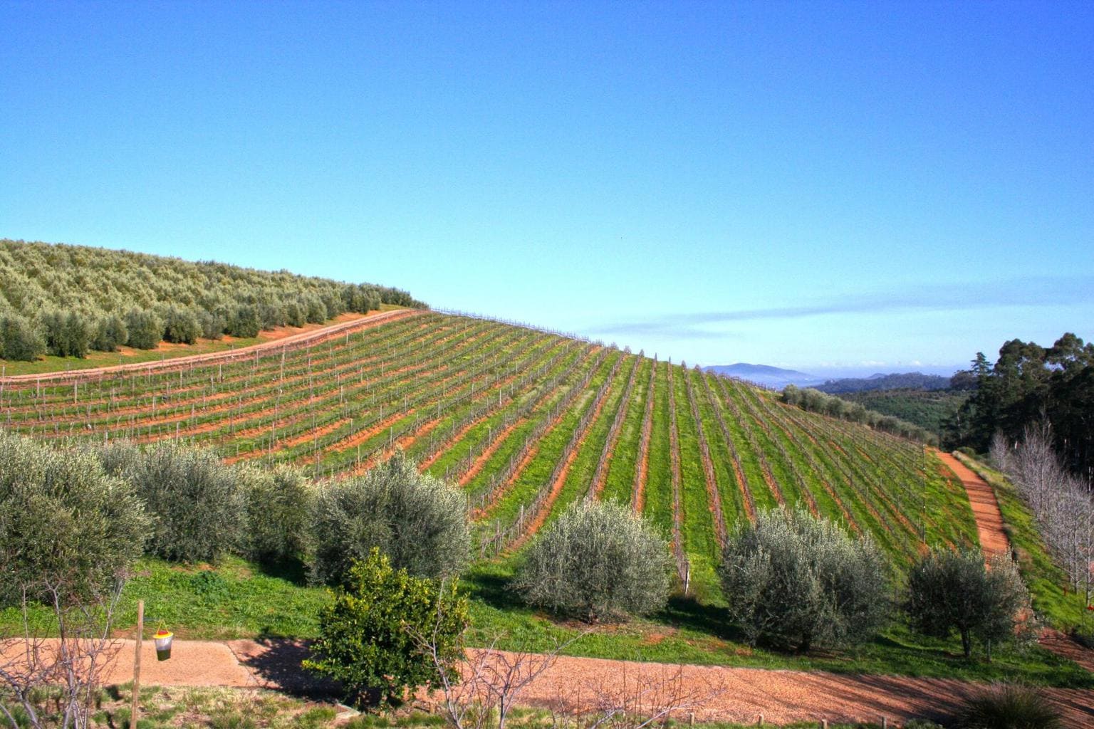 The grounds at Tokara