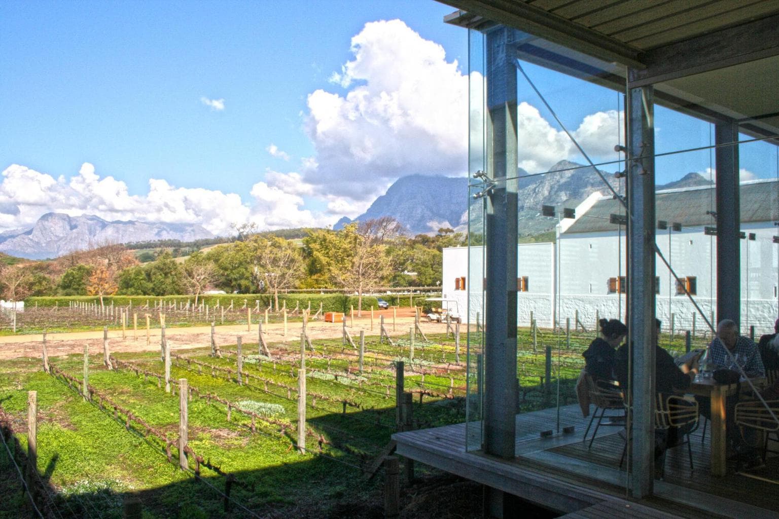 The tasting room at Babylonstoren